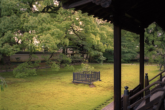 Shoren-in Temple Moss