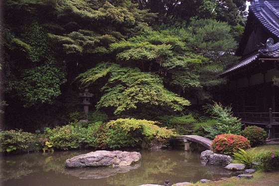 Shoren-in Temple Rock