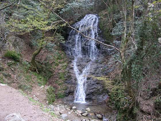 Silent Waterfall