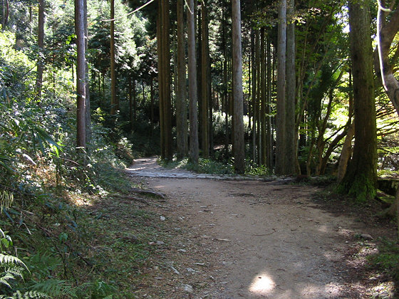 Silent Waterfall Lower Path