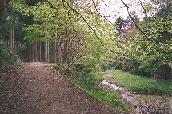 Path to Silent waterfall