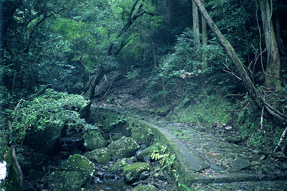 Takisaka Nara