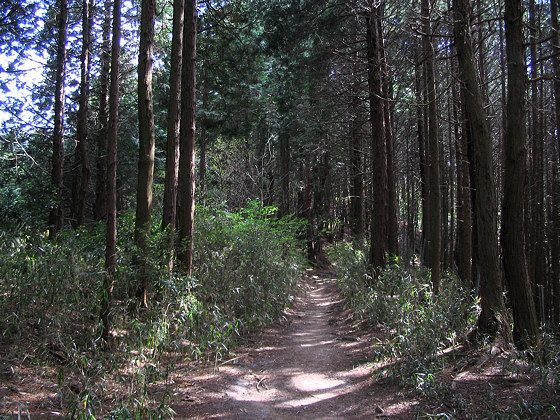 Takisaka Narrow Path