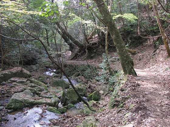 Takisaka Stream