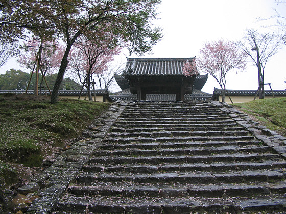 Todaiji Temple Kaidanin Temple Steps