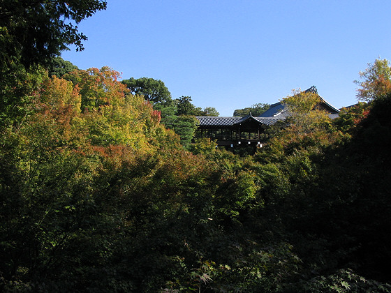 Tofukuji Temple Maple Gorge
