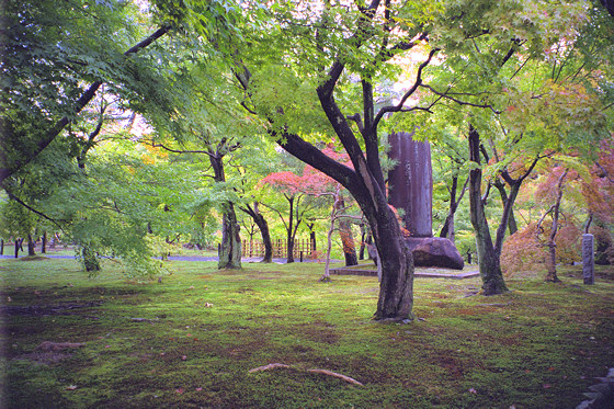 Tofukuji Temple Moss Garden