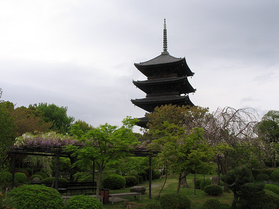 Toji Temple Pagoda Wisteria