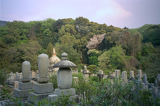 Toribeno graveyard Kyoto