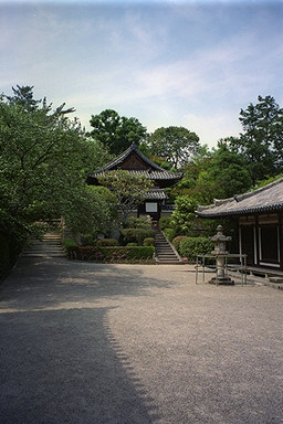 Toshodaiji Temple Lantern