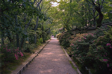 Toshodaiji Temple Path