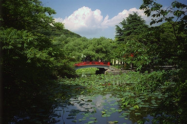 Tsurugaoka Genji Pond