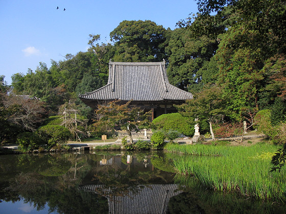 Yamanobe Chogakuji Temple Pond