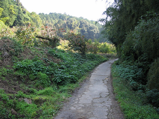 Yamanobe Path