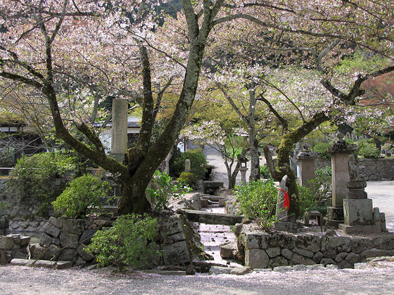 Yatadera Temple Garden