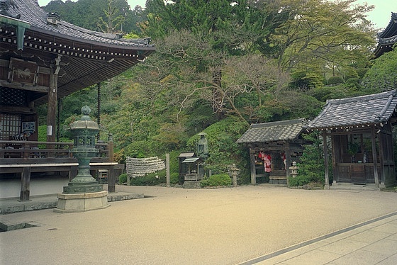 Yoshiminedera Temple Hondo
