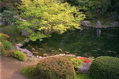 Zuishin-in Temple Pond