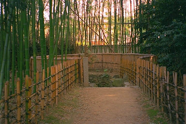 Zuishin-in Temple Well Of Beauty